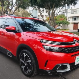 WhatsApp Image 2026-02-12 at 4.40.07 PM (1)